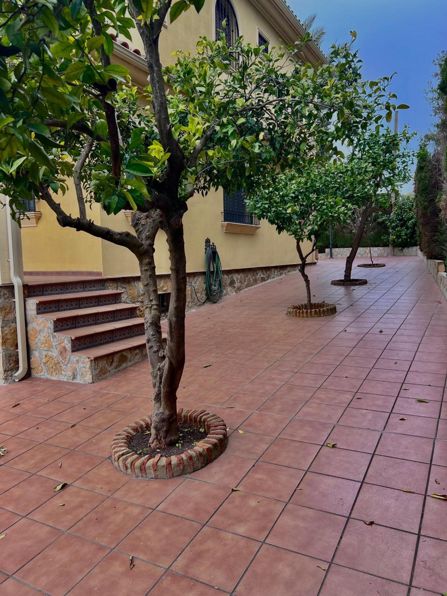 Villa El Carmen à Cordoue Extérieur photo